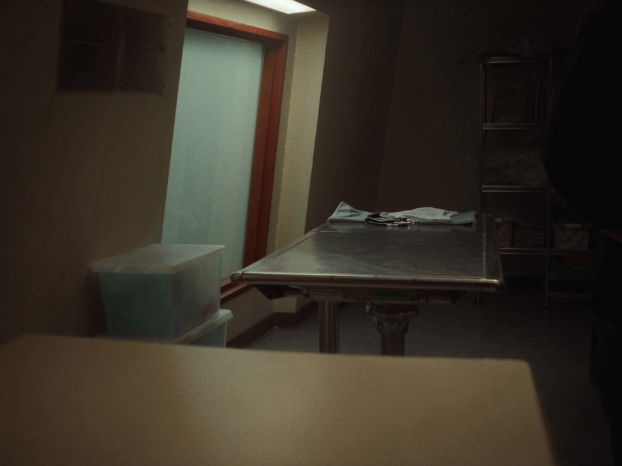 A veterinary exam room with a steel table